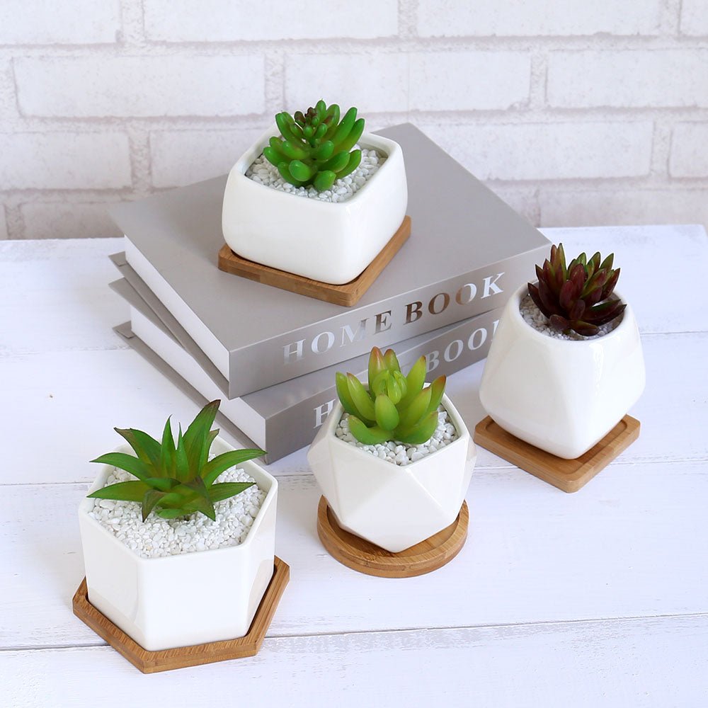 Succulent Desk Pots Pots For Plants