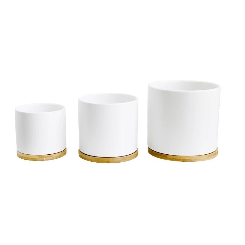 Cylinder Porcelain Ceramic Pots (Set of Three) with Bamboo Catch Plate - Pots For Plants