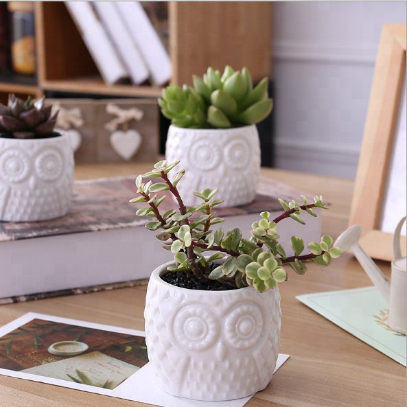 Owl Textured White Porcelain Pot with Bamboo Saucer - Pots For Plants