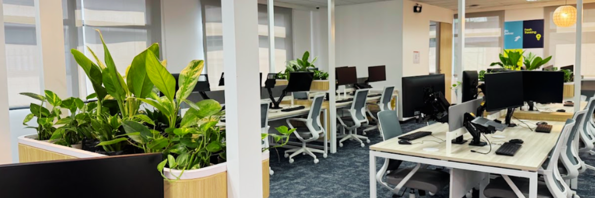 Pots for Plants workspace and showroom