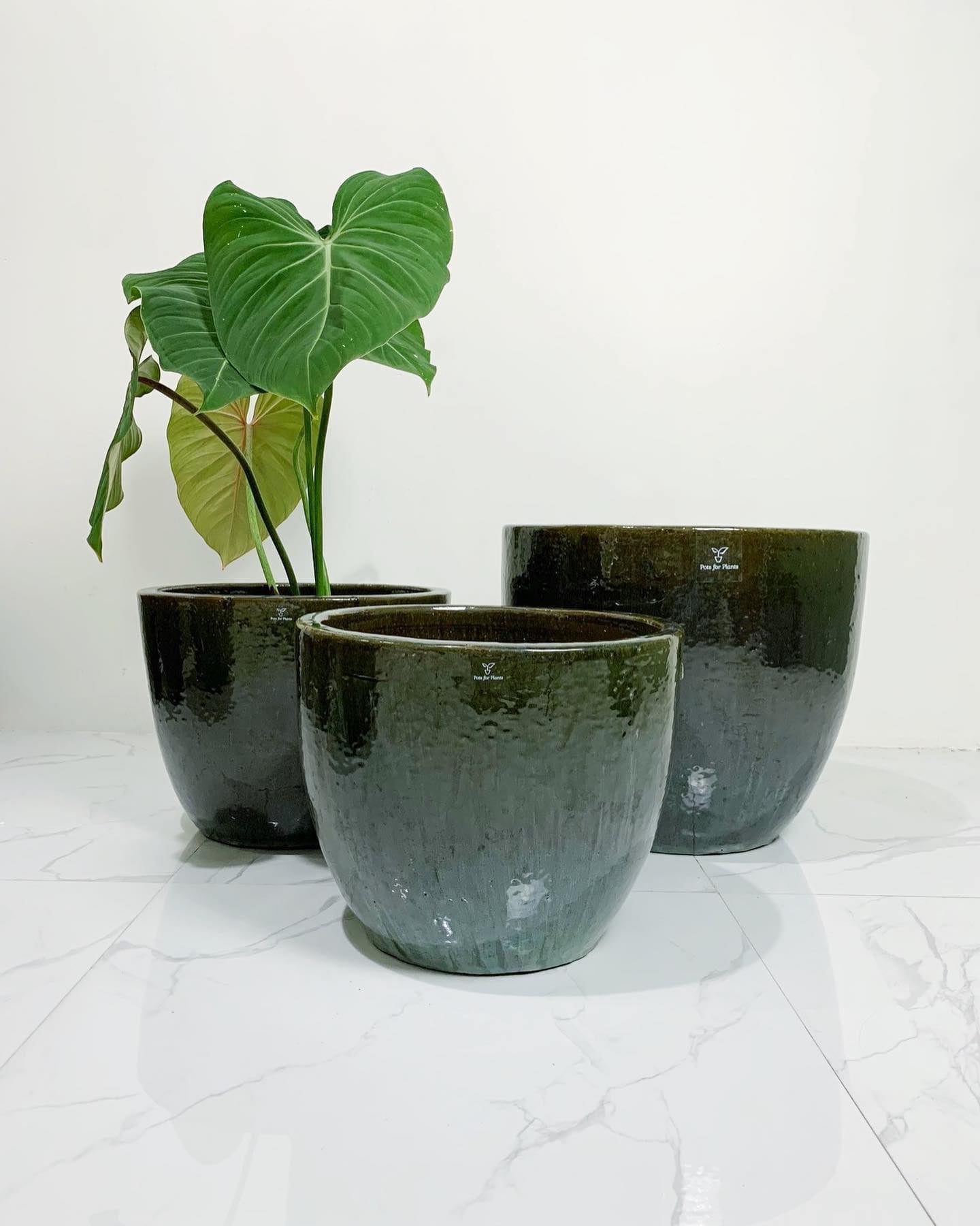 Green Round Vietnam Glazed Earthenware Ceramic Pot