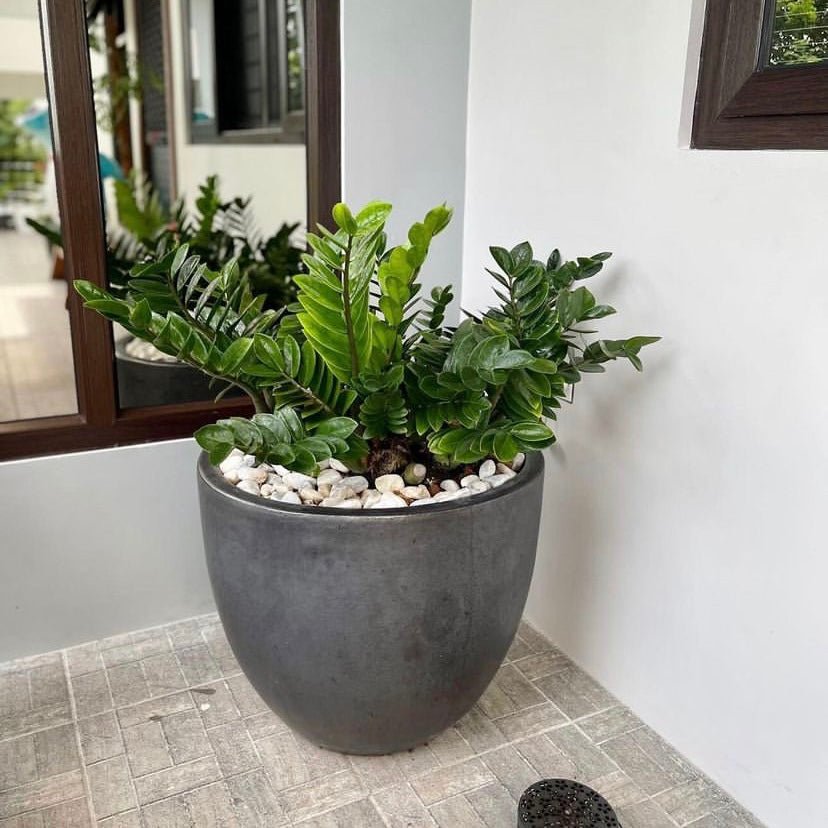 Matte Black Vietnam Ceramic Pot