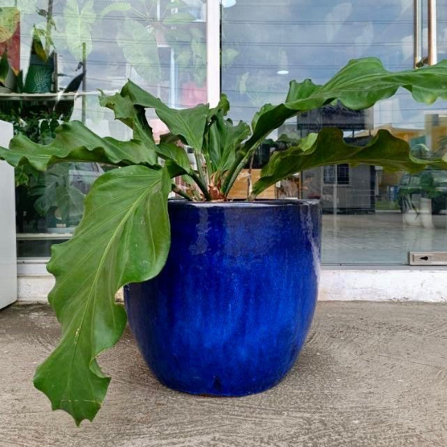 Round Blue Vietnam Earthenware Ceramic Planter