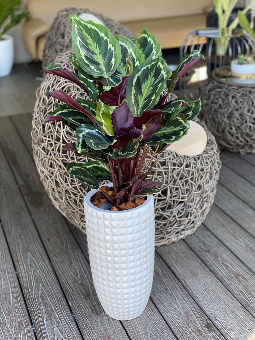 Tall White Vietnam Ceramic Pot