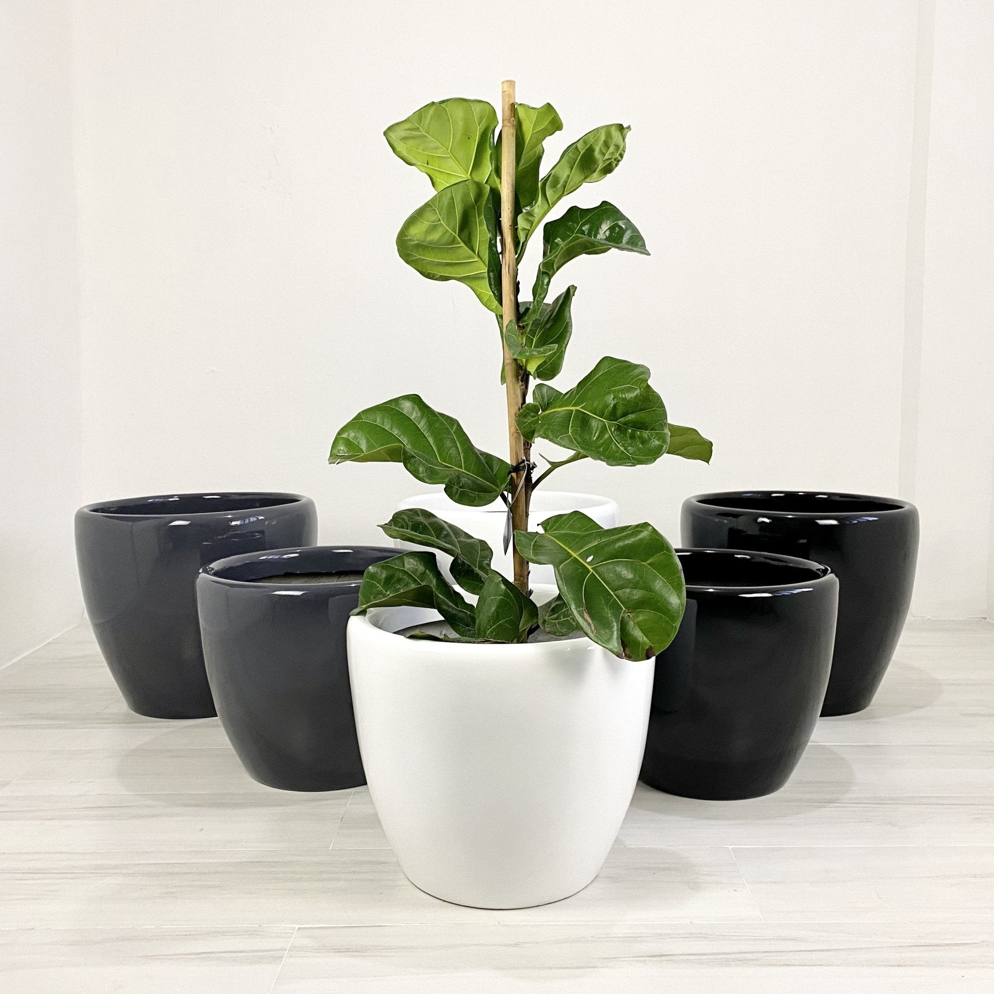 Venetian Round Fiberglass Floor Planters