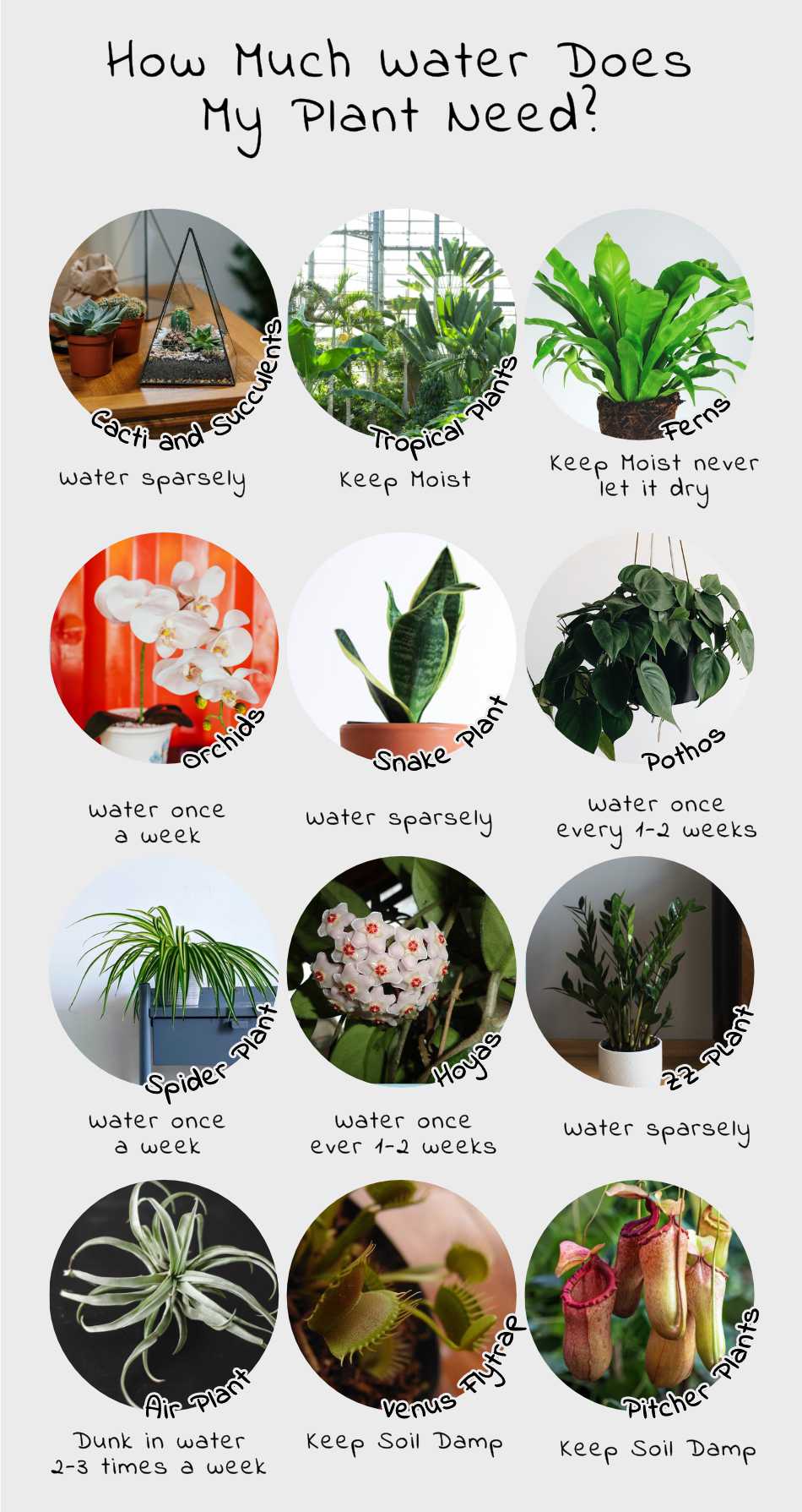 Key factors that change weekly water needs