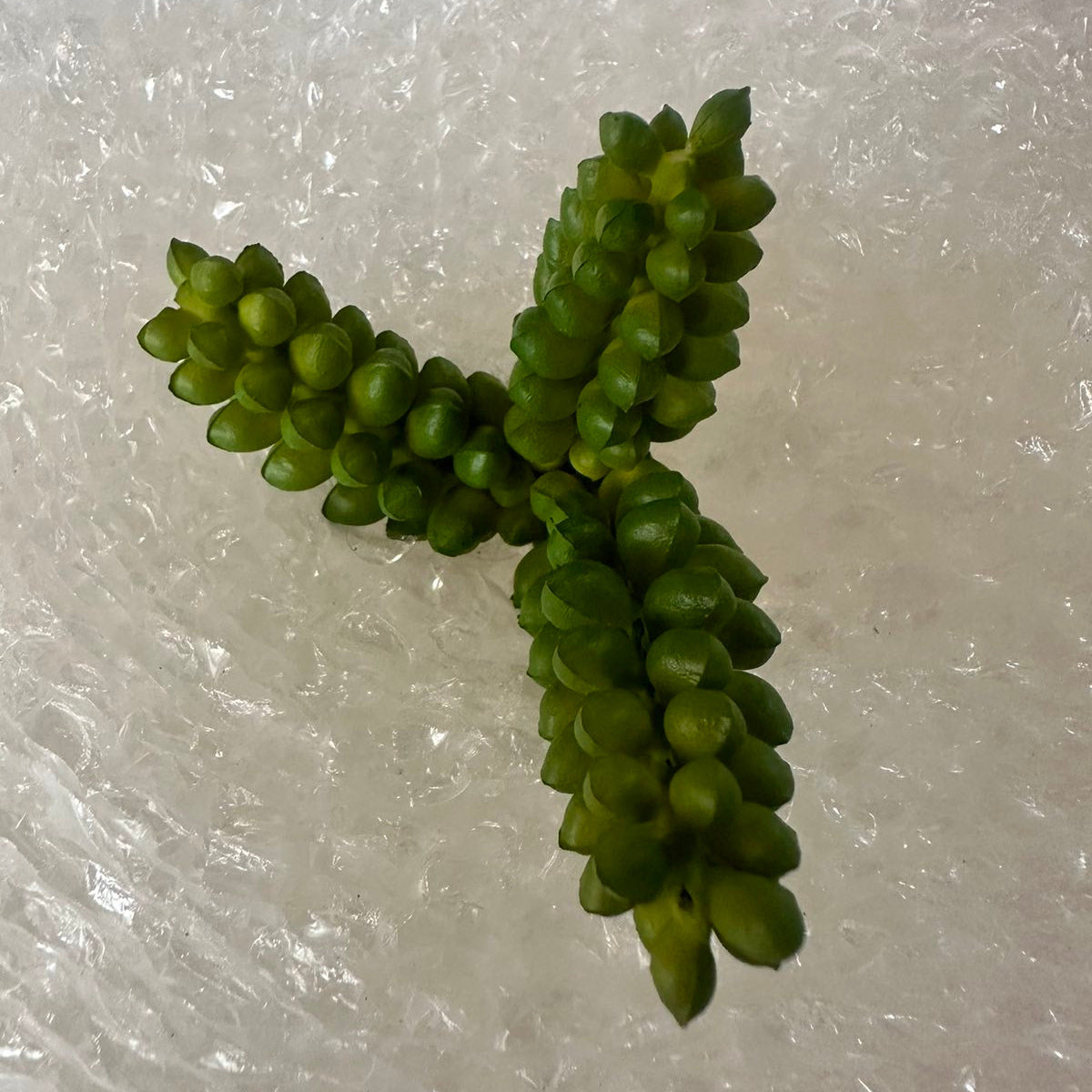 Artificial Succulents