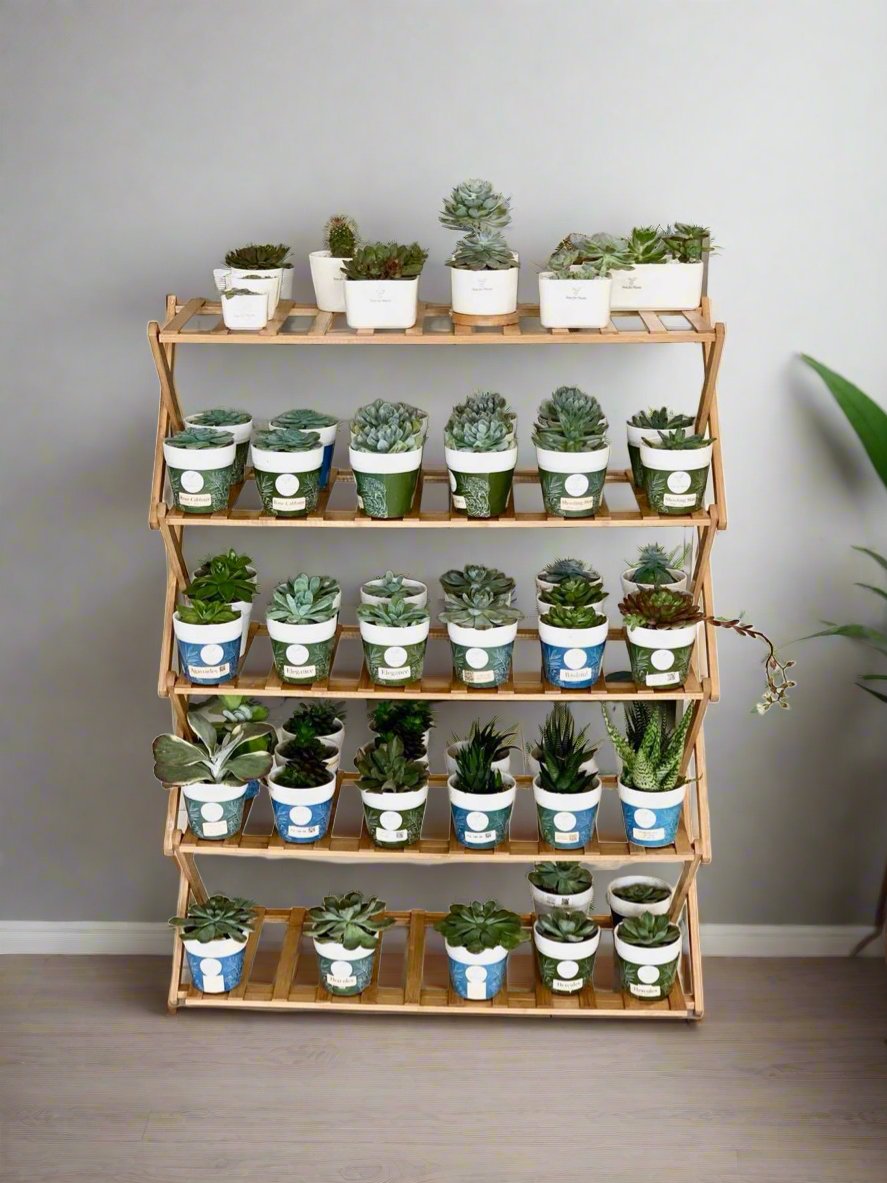 5 Tier Folding Simple Bamboo Plant Rack - Pots For Plants