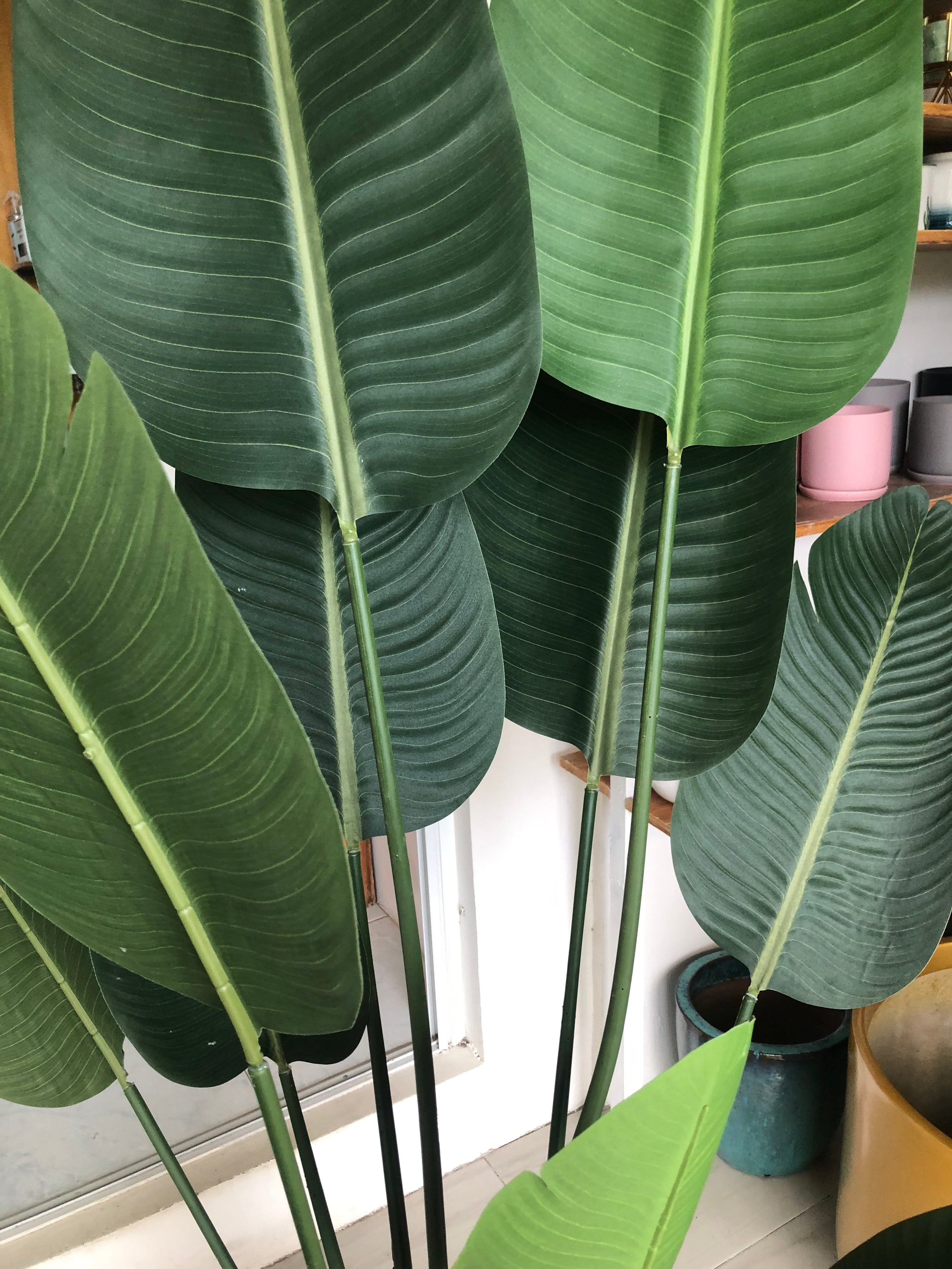 Artificial Banana Leaf Plant