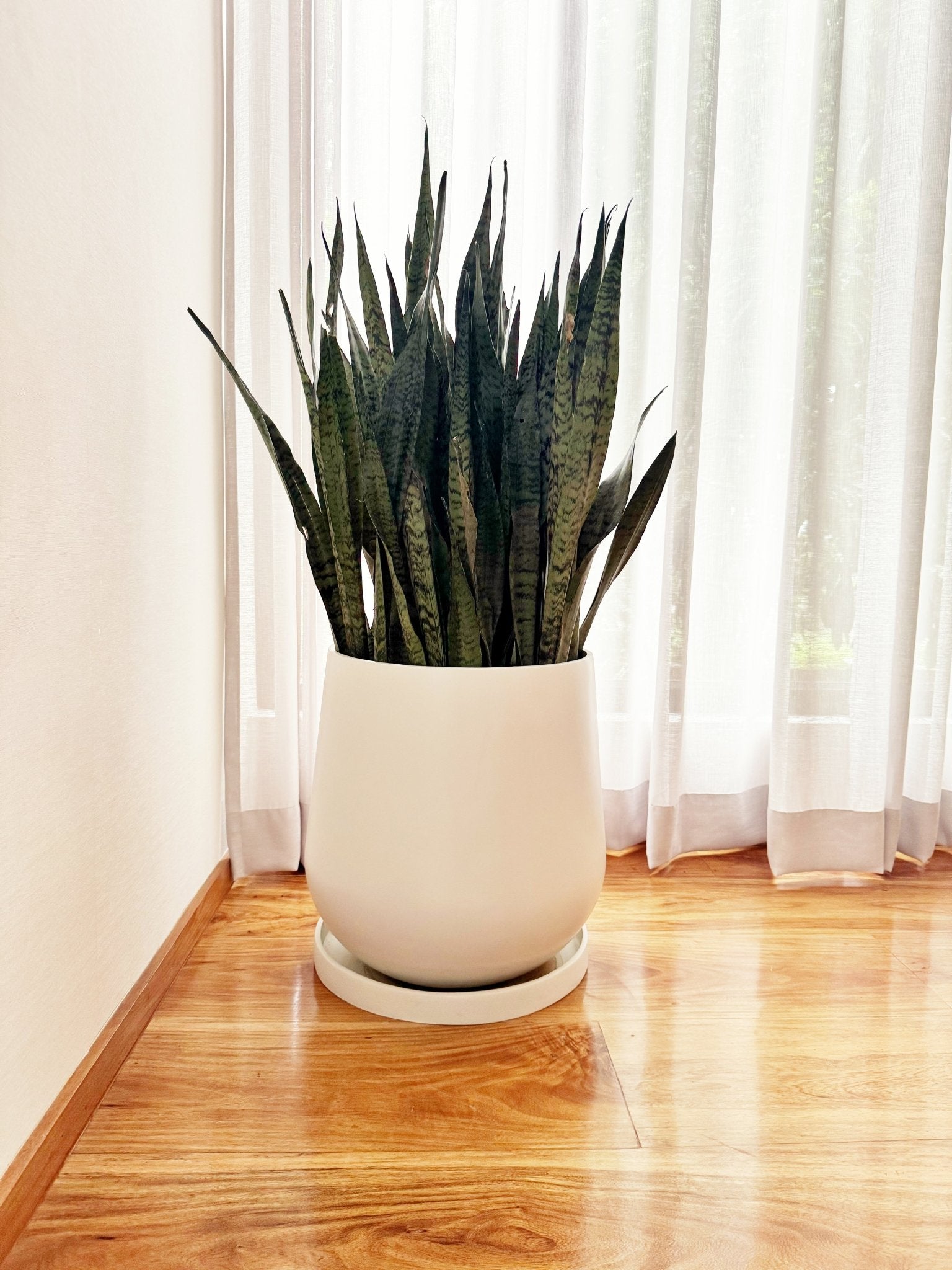 ALESSO Fiberglass Planter - Pots For Plants