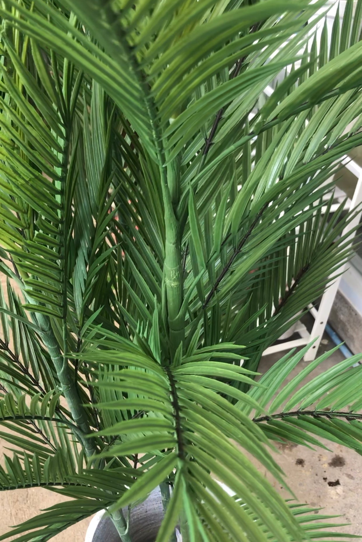 areca palm philippines price Artificial Areca Palm – Pots For Plants