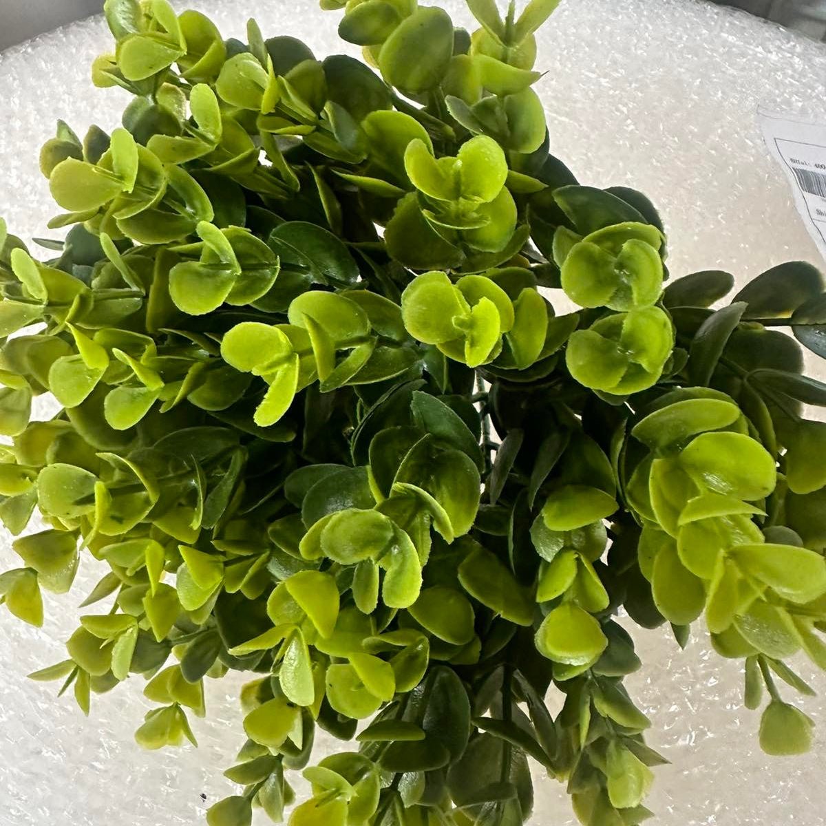 Artificial Succulents - Pots For Plants