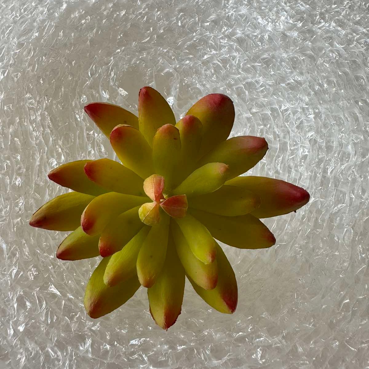 Artificial Succulents - Pots For Plants