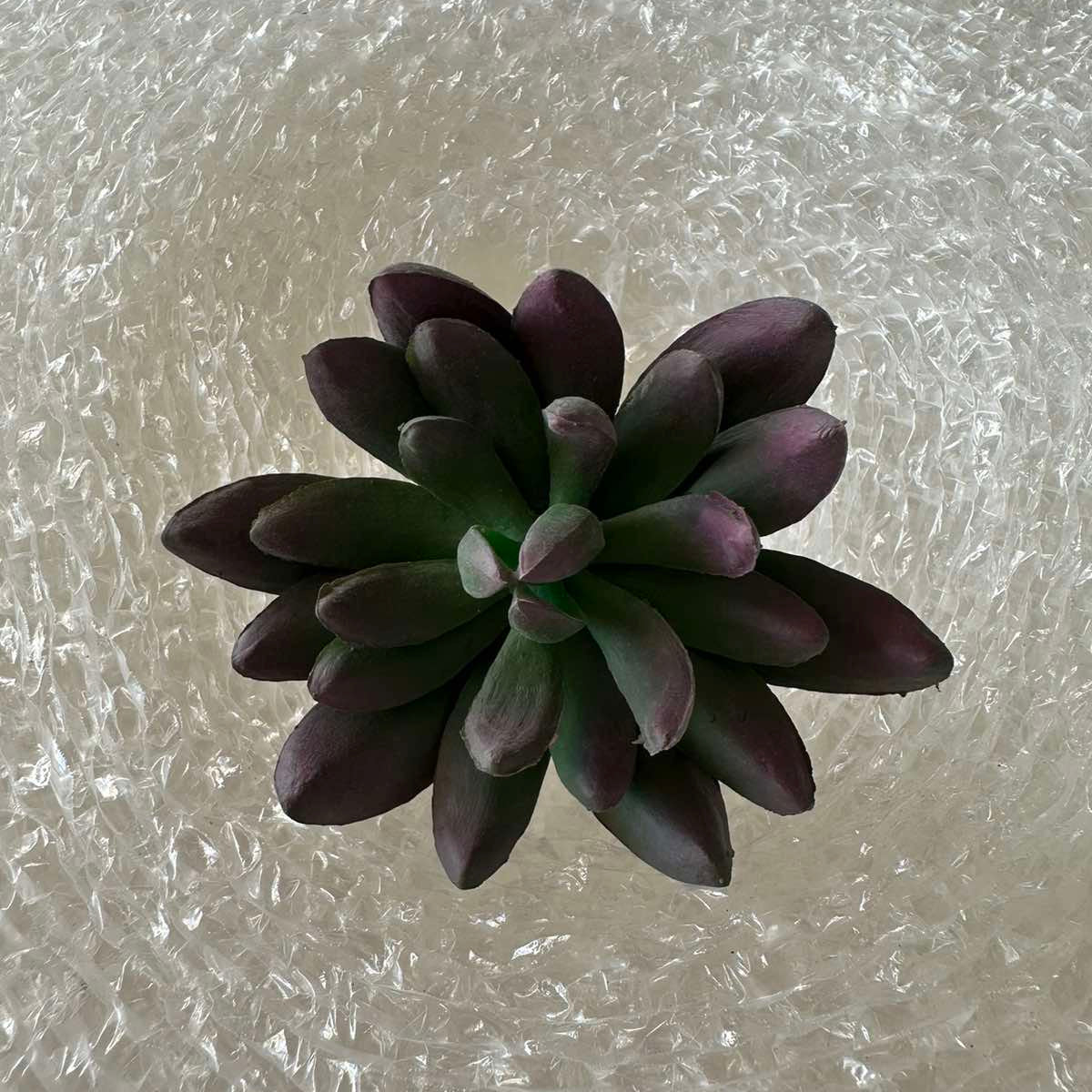 Artificial Succulents - Pots For Plants