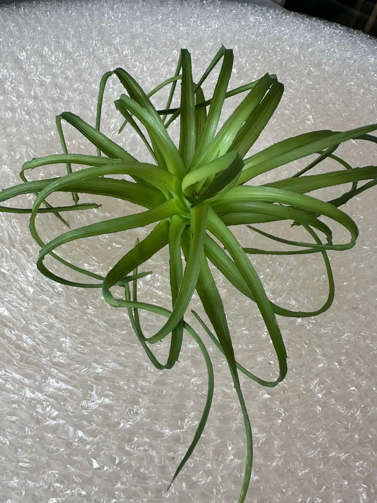 Artificial Succulents - Pots For Plants