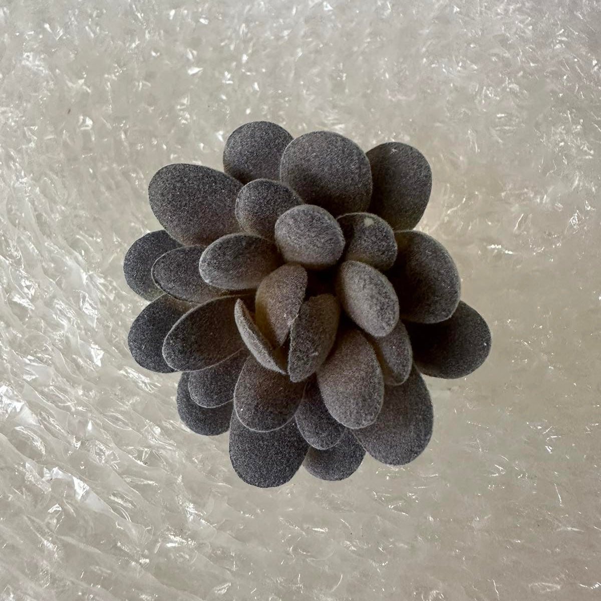 Artificial Succulents - Pots For Plants