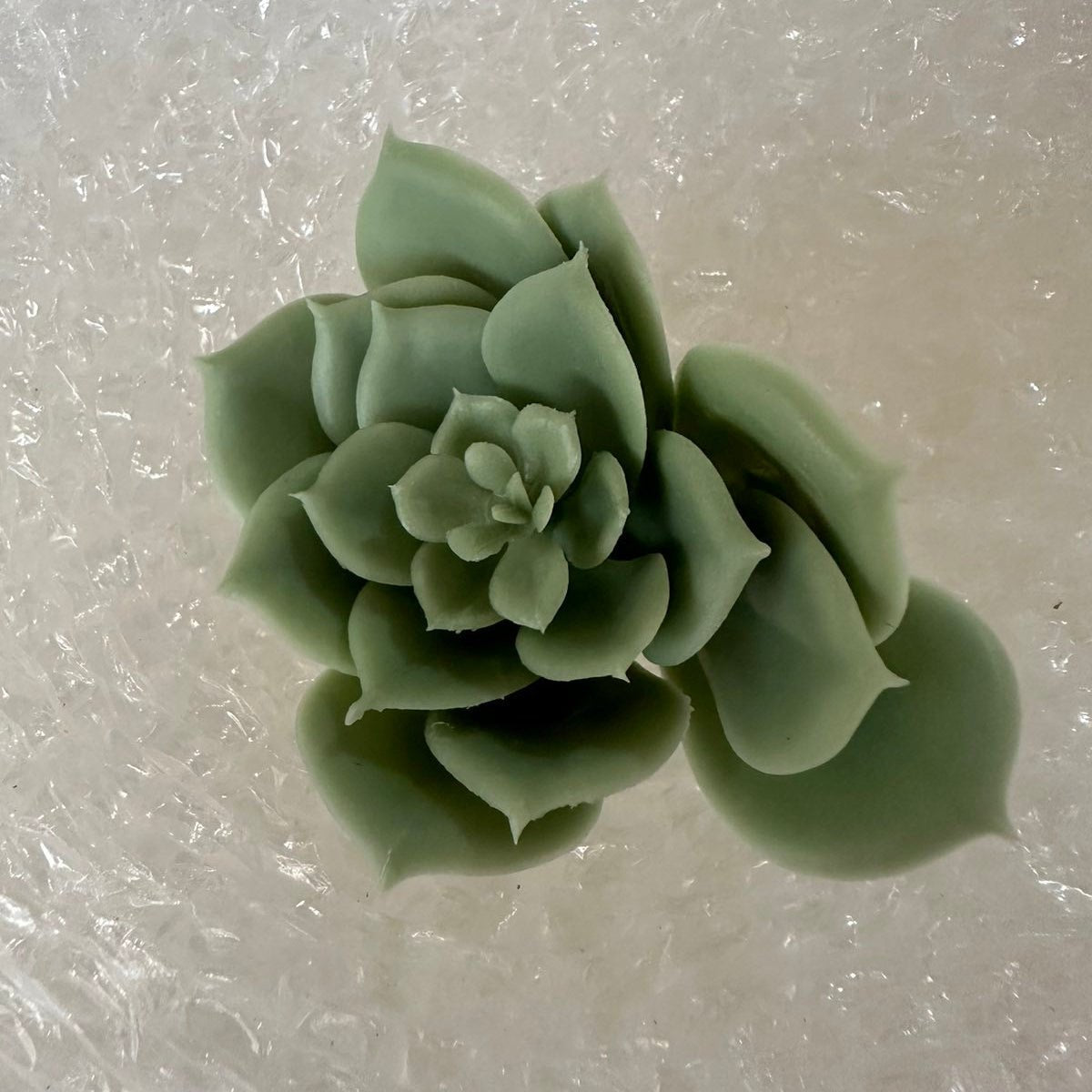 Artificial Succulents - Pots For Plants