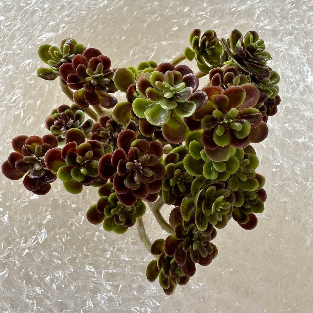 Artificial Succulents - Pots For Plants