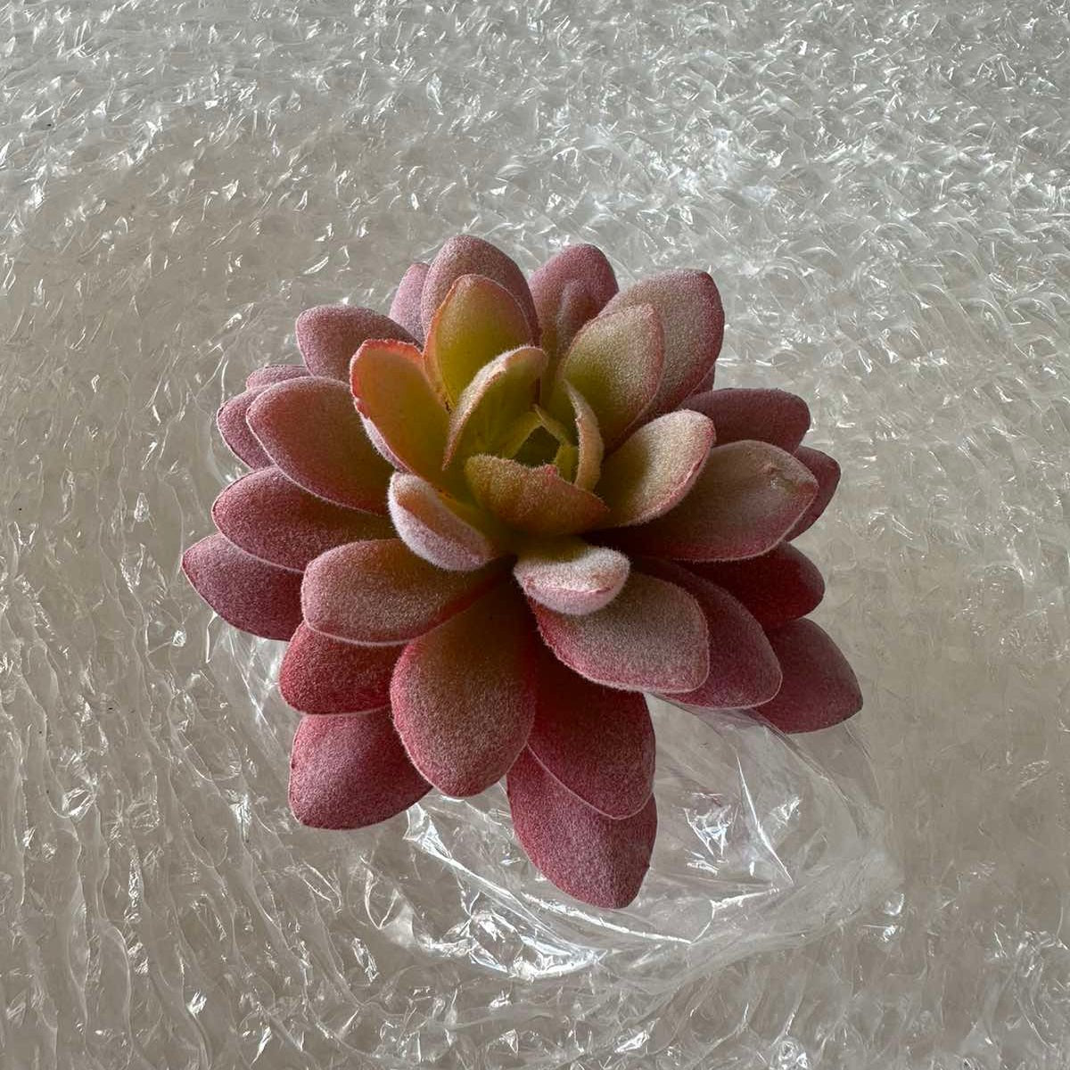 Artificial Succulents - Pots For Plants