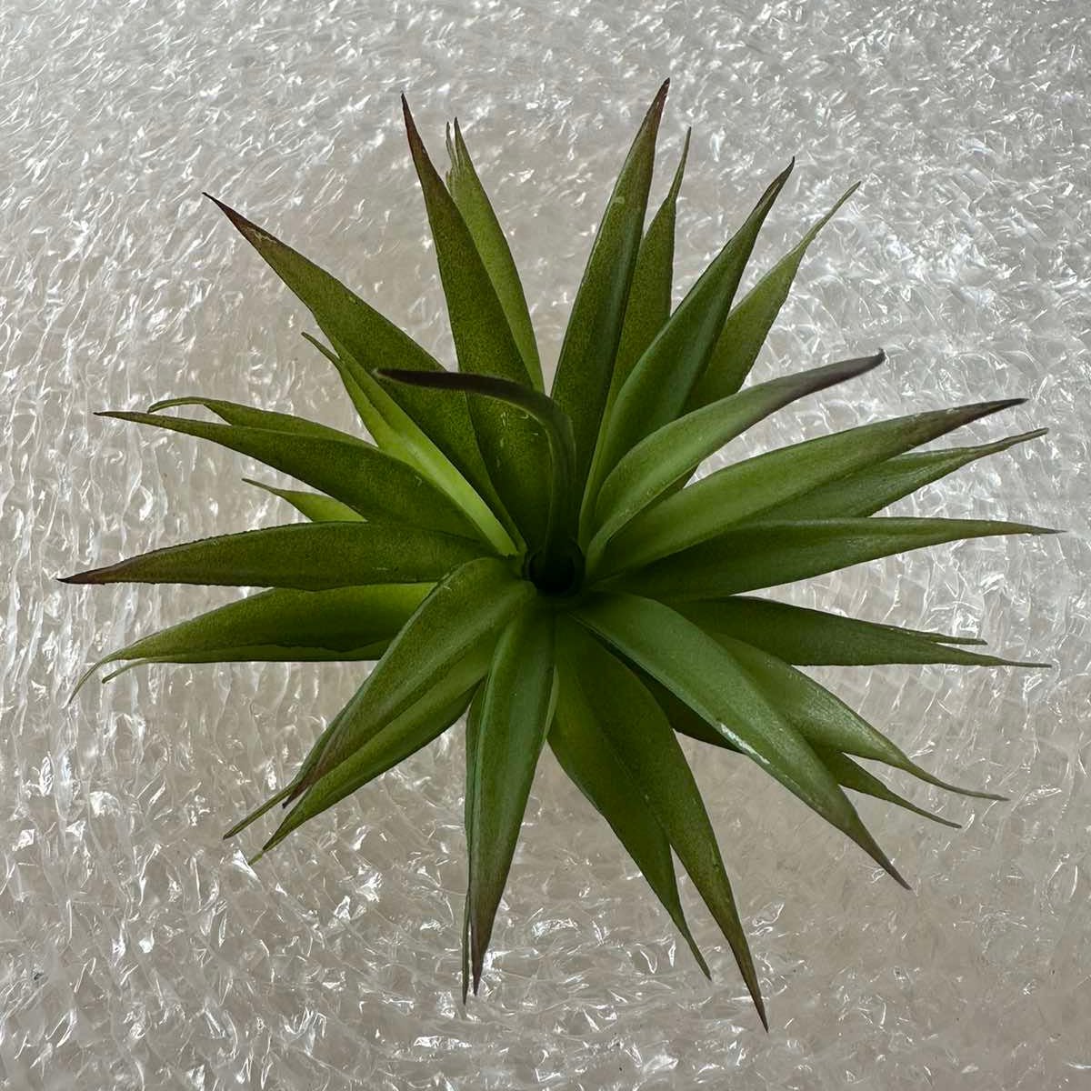 Artificial Succulents - Pots For Plants