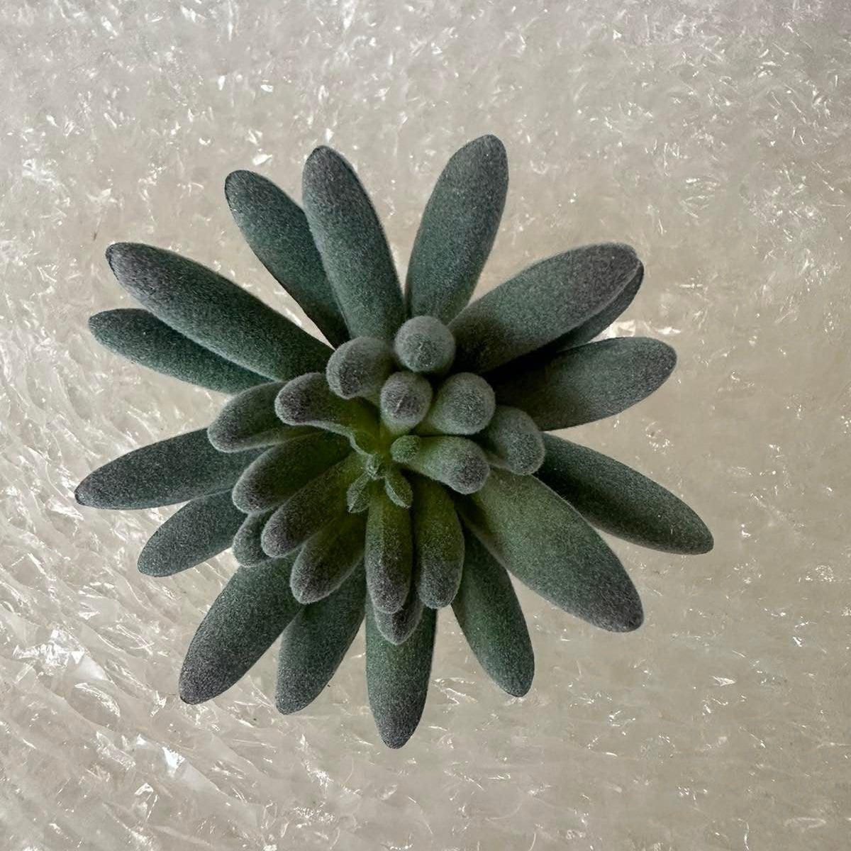 Artificial Succulents - Pots For Plants