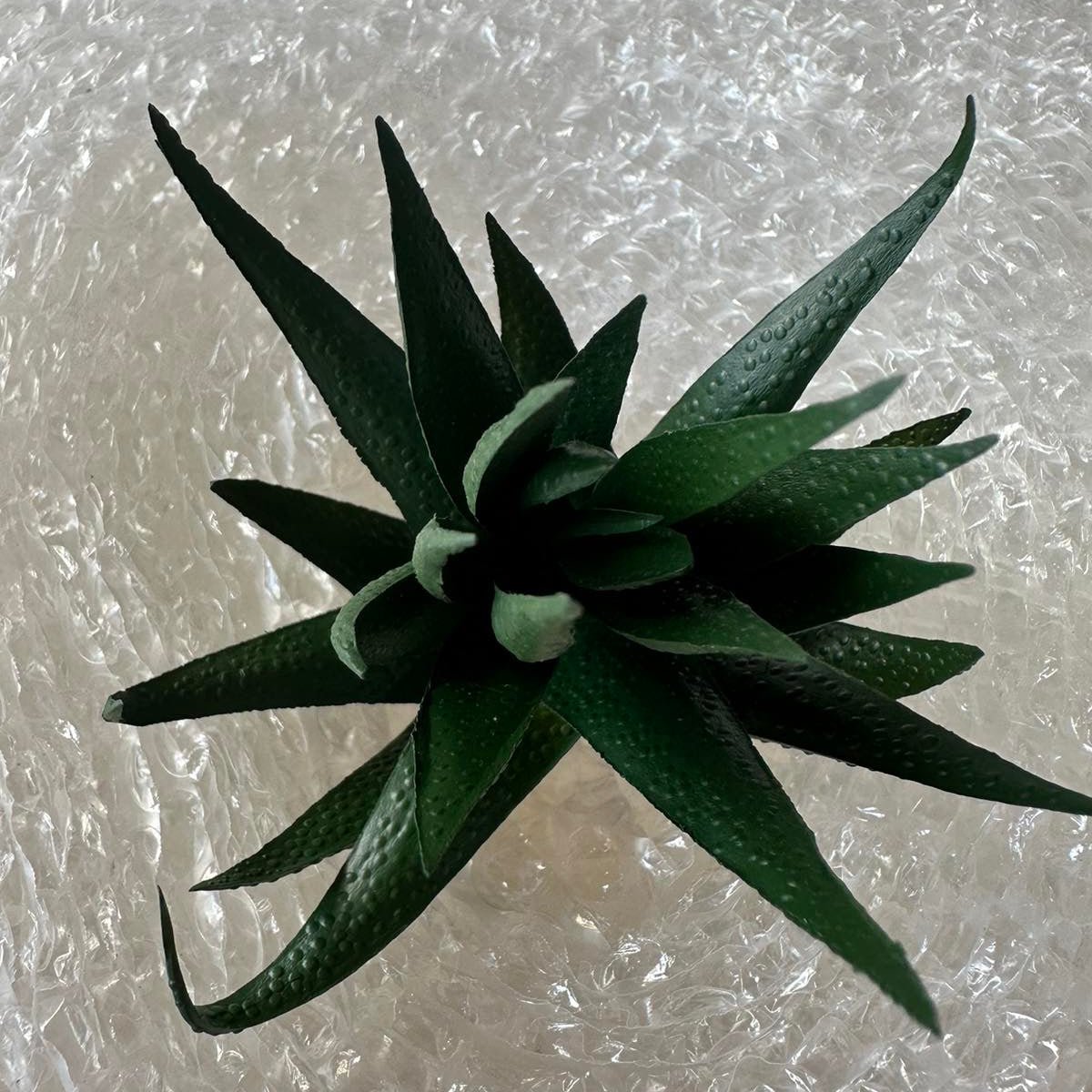 Artificial Succulents - Pots For Plants