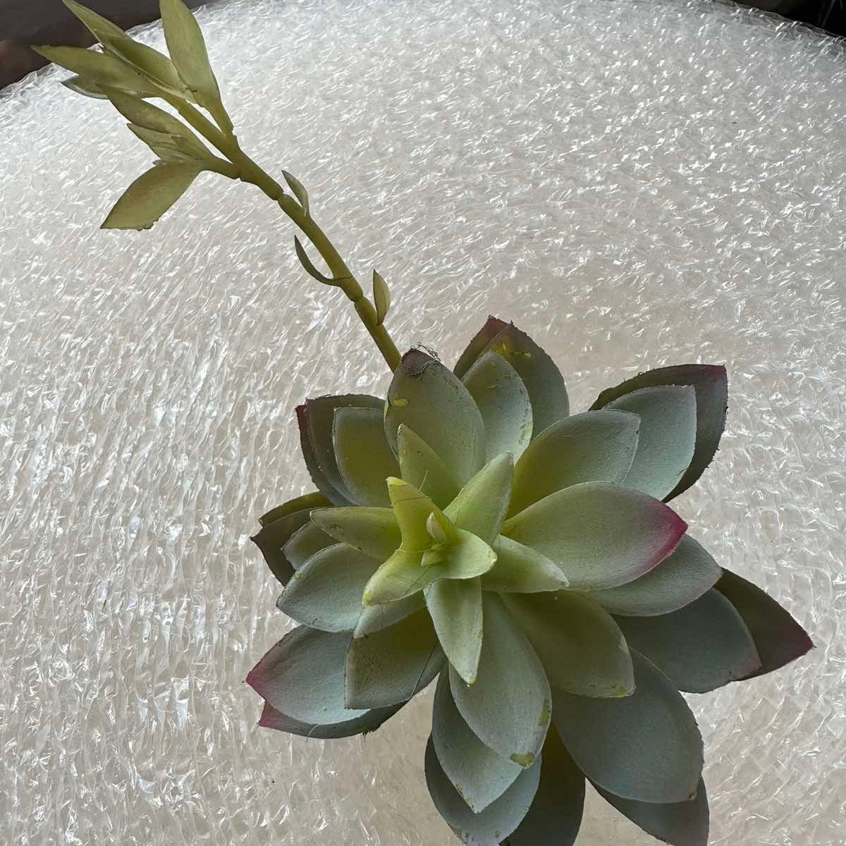 Artificial Succulents - Pots For Plants