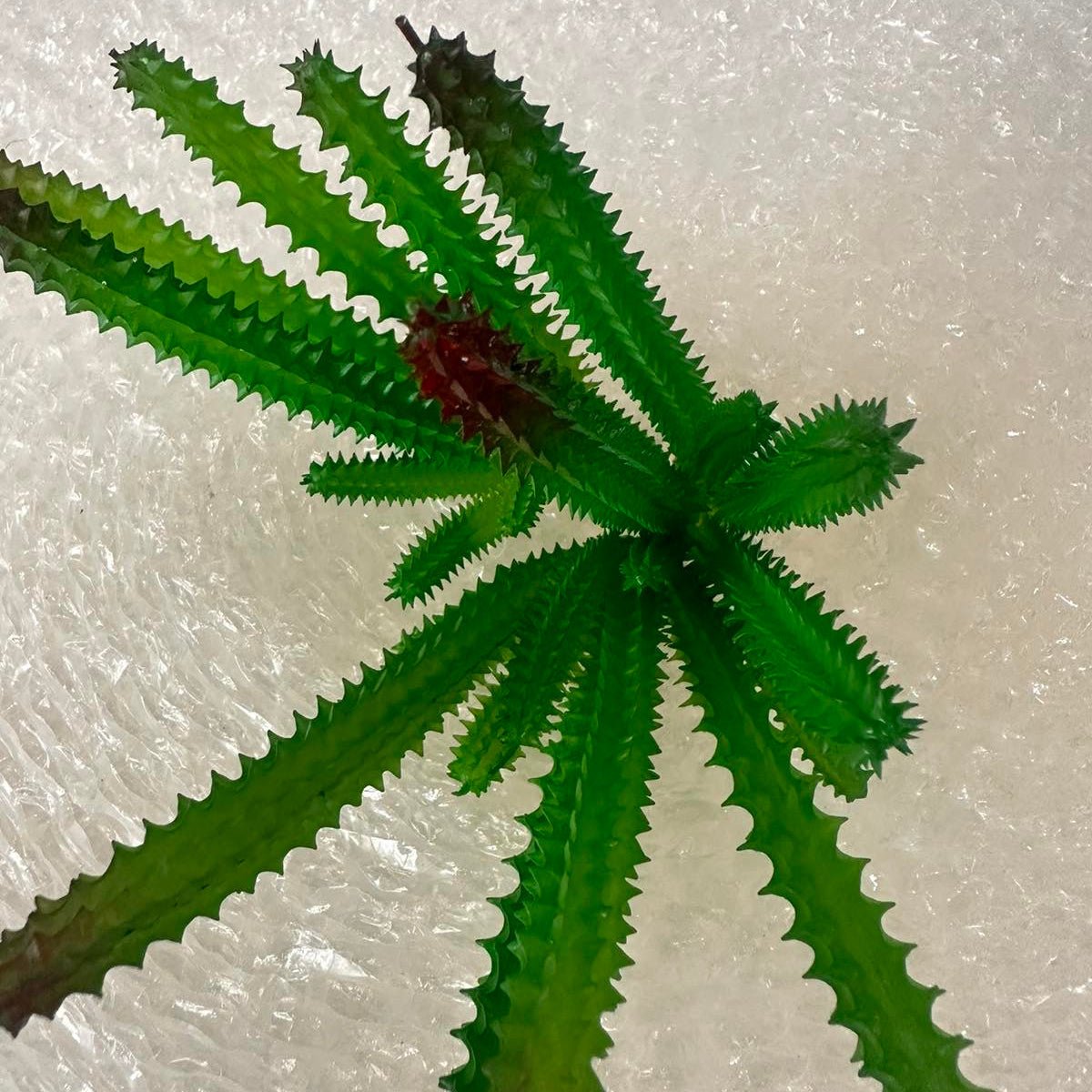 Artificial Succulents - Pots For Plants