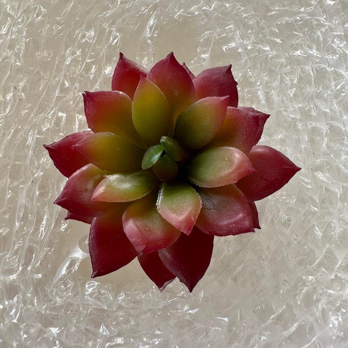 Artificial Succulents - Pots For Plants