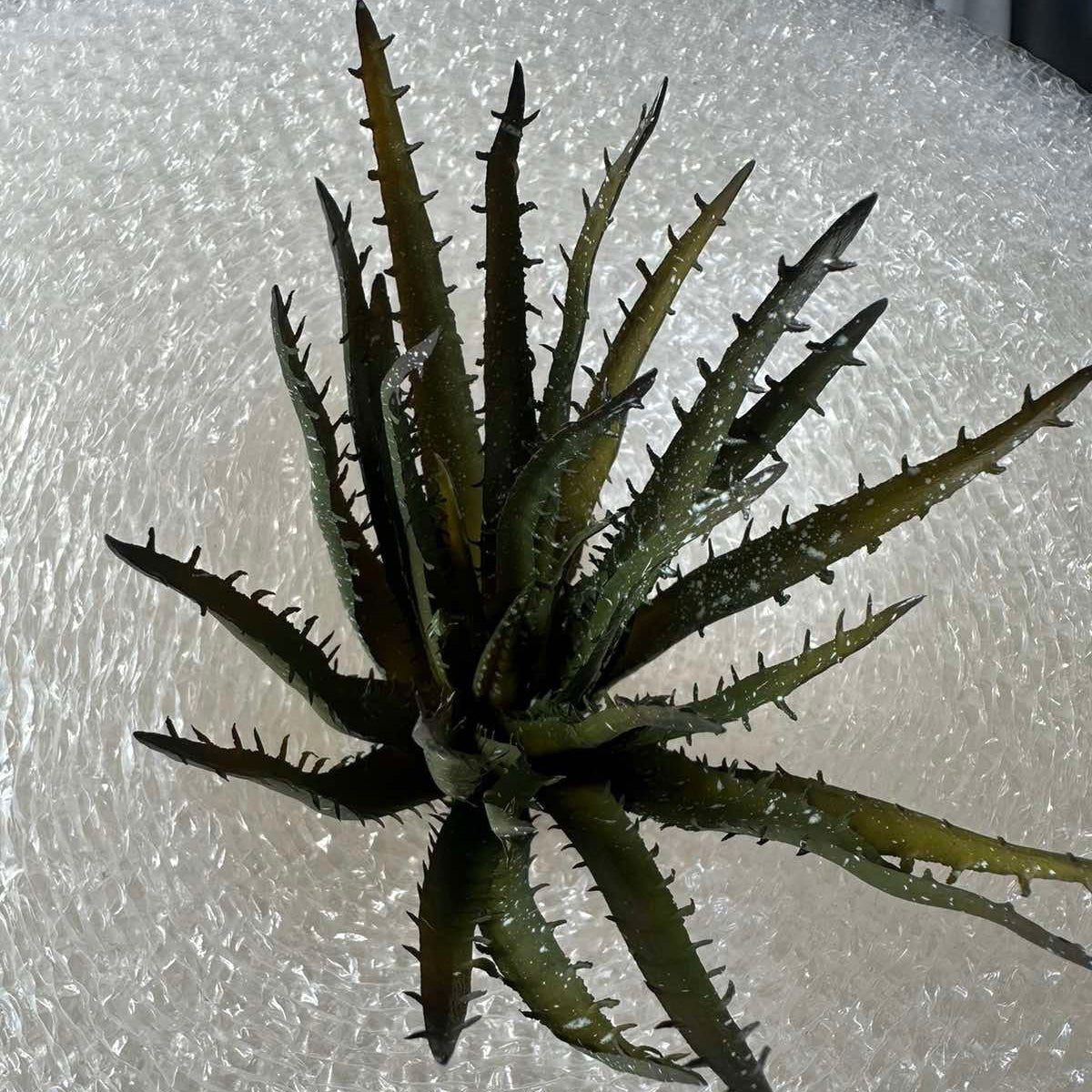 Artificial Succulents - Pots For Plants