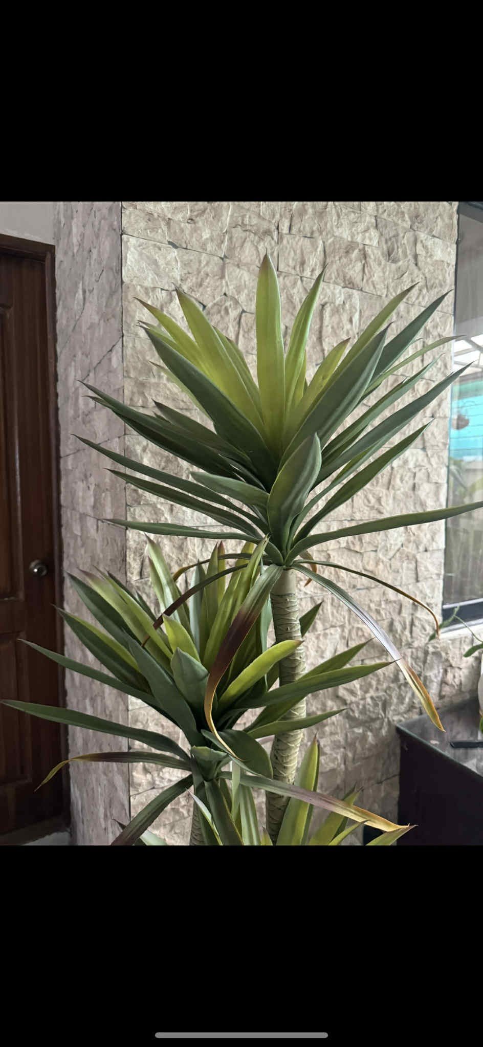 Artificial Yucca tree - Pots For Plants