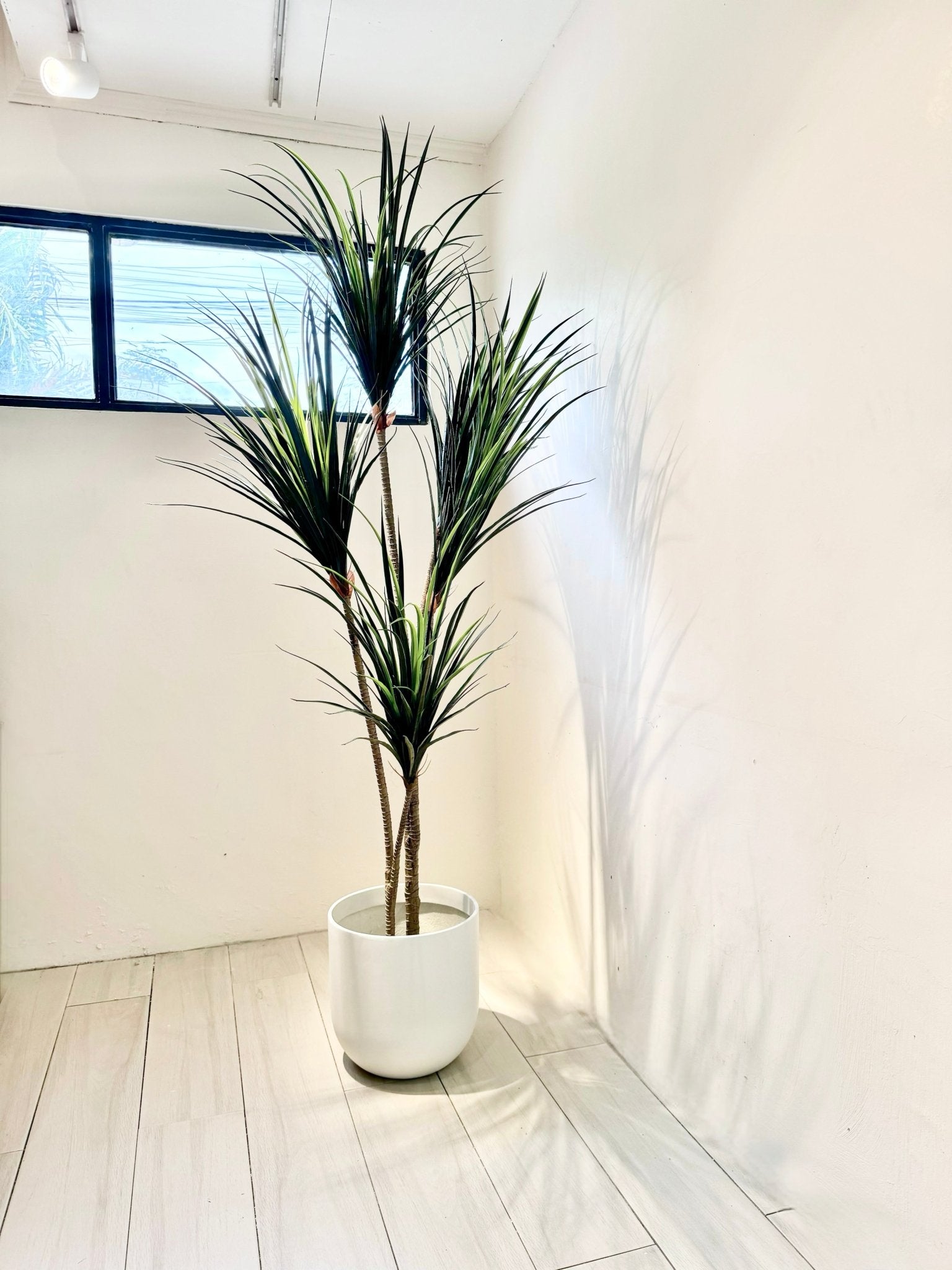 artificial indoor plants philippines Artificial Dracaena Plant – Pots For Plants