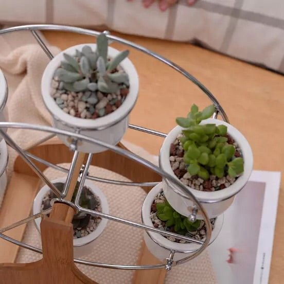Ferris Wheel Pot Set - Pots For Plants