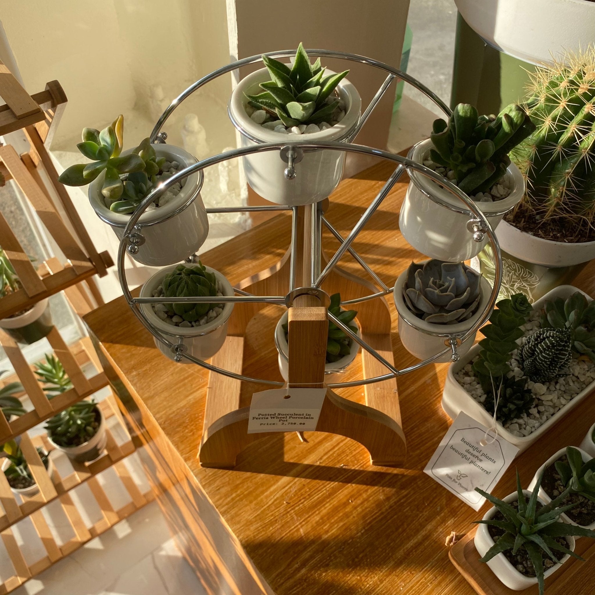 succulent ferris wheel Ferris Wheel Pot Set – Pots For Plants