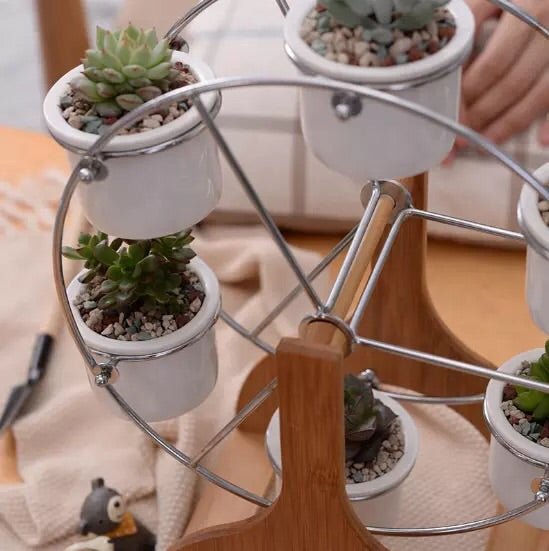 ferris wheel succulent planter Ferris Wheel Pot Set – Pots For Plants