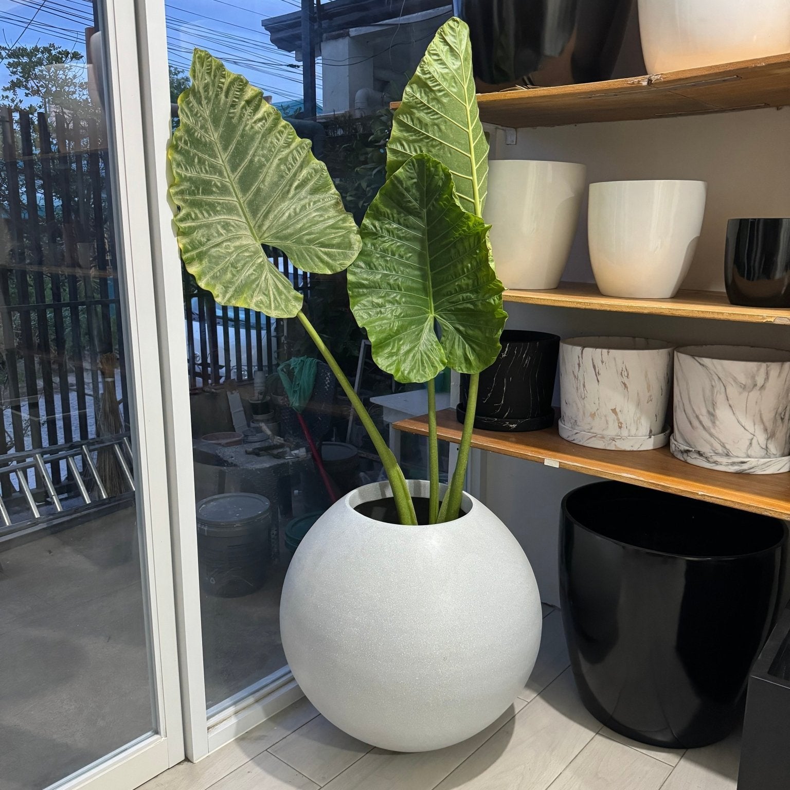 Orb Fiberglass Planter - Pots For Plants