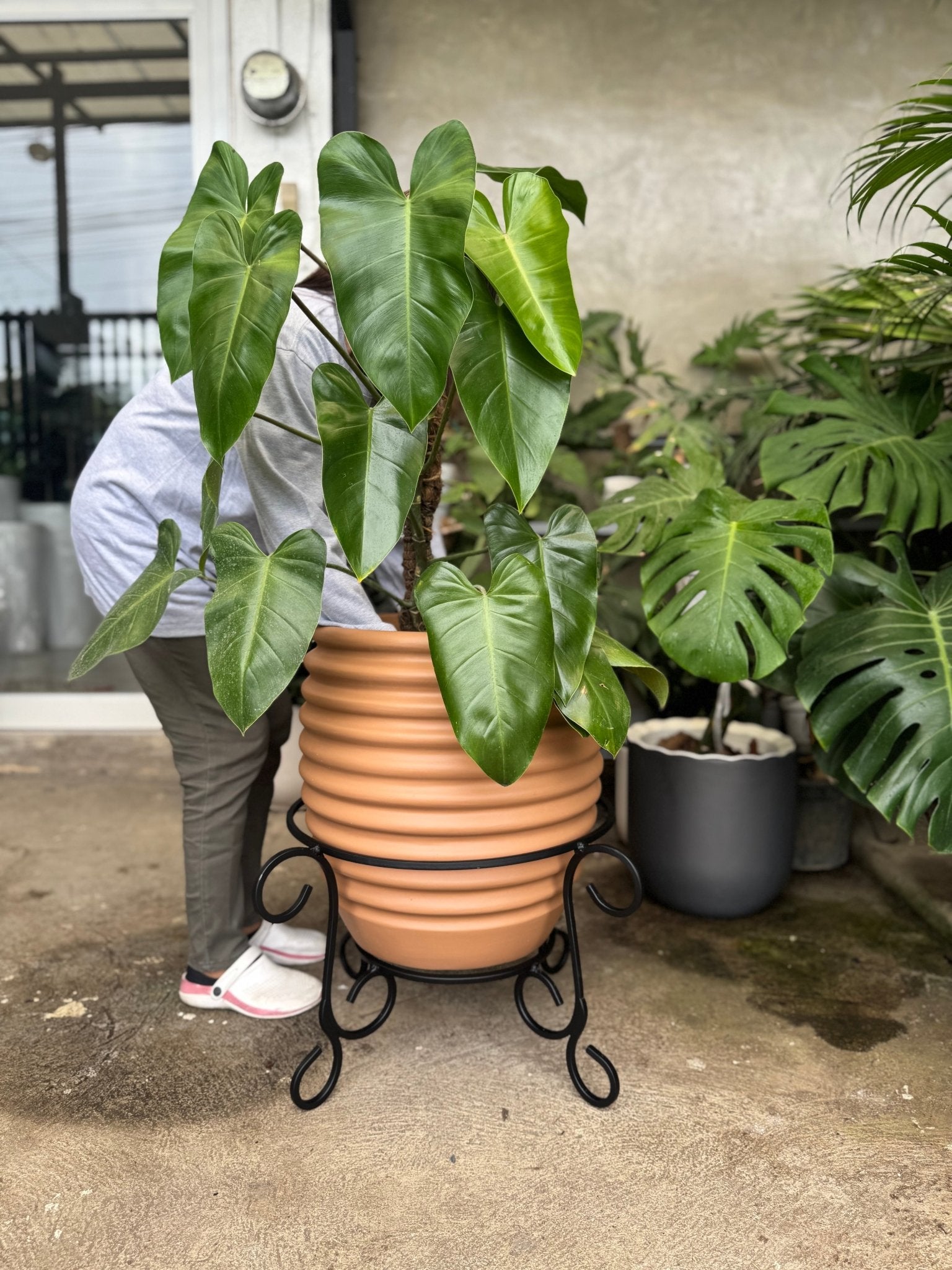 Ribbed Terracota Fiberglass Planter - Pots For Plants