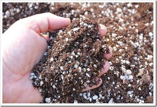 1 kg Mixed Soil - Pots For Plants