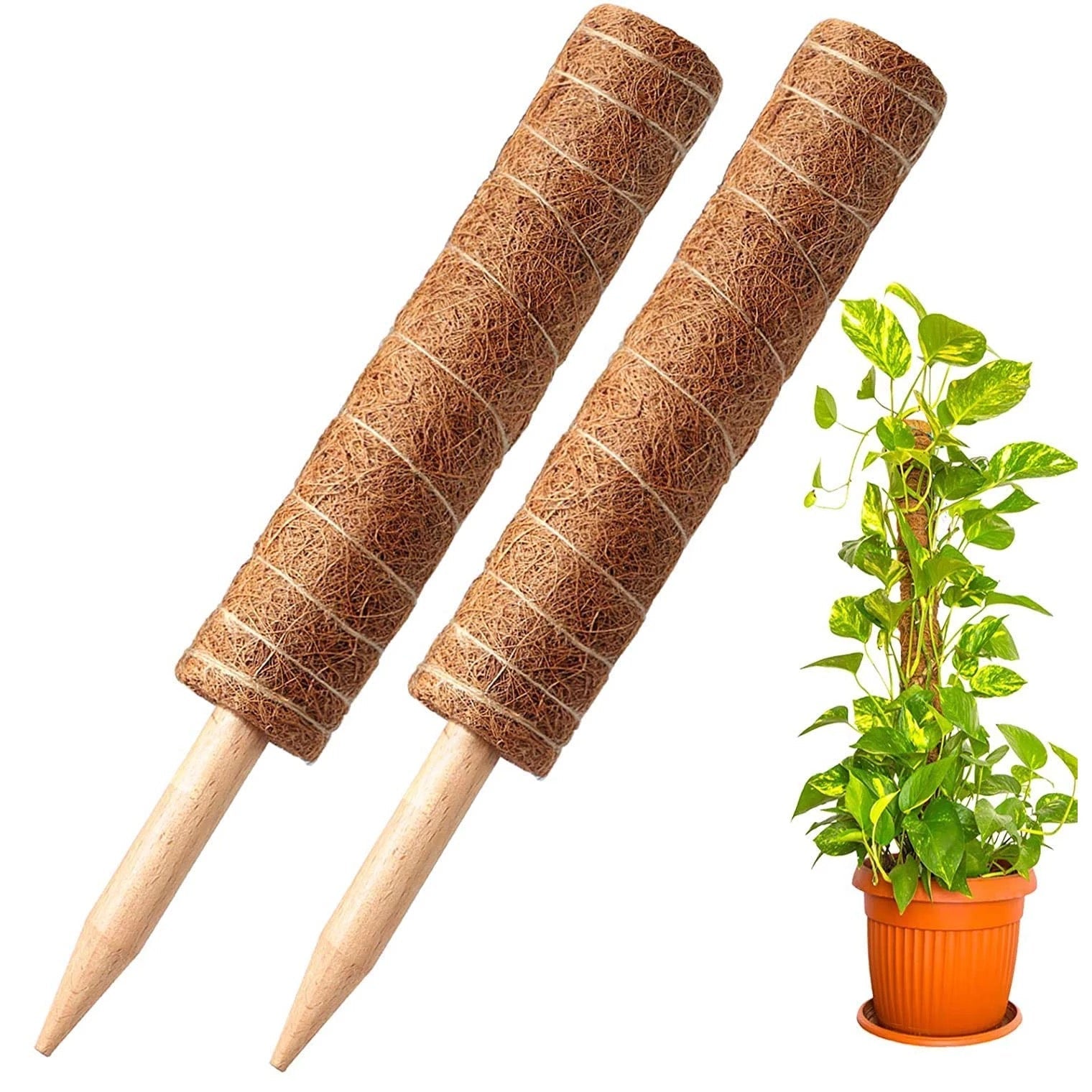 2 Pieces Stackable Coco Pole - Pots For Plants