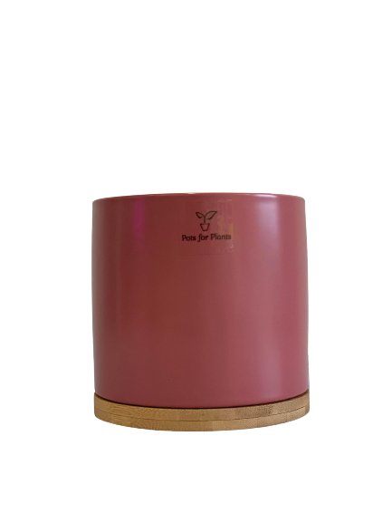 3.5” Cylinder Porcelain Pot with Catchplate - Pots For Plants
