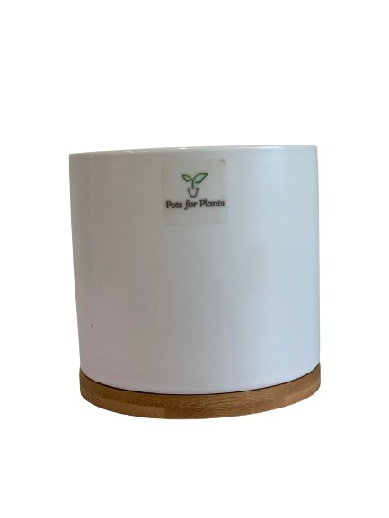 3.5” Cylinder Porcelain Pot with Catchplate - Pots For Plants