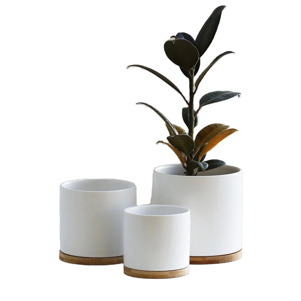 5” Cylinder Porcelain Ceramic Pot - Pots For Plants