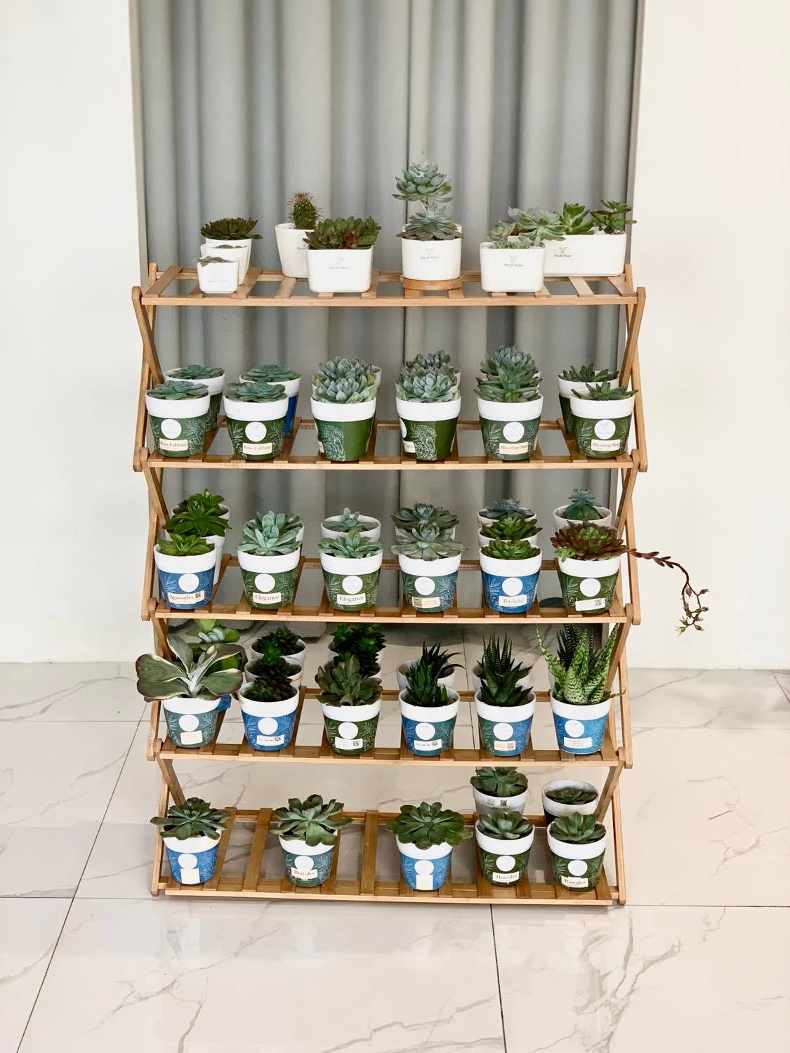 5 Tier Folding Simple Bamboo Plant Rack - Pots For Plants