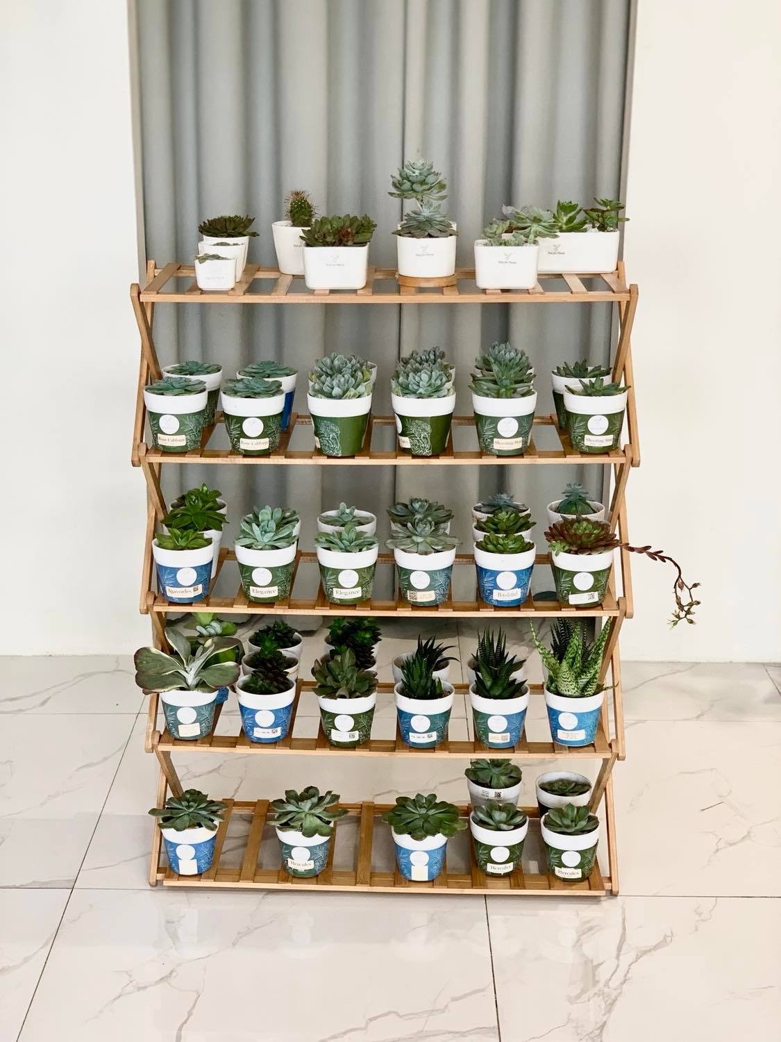 5 Tier Folding Simple Bamboo Plant Rack – Pots For Plants