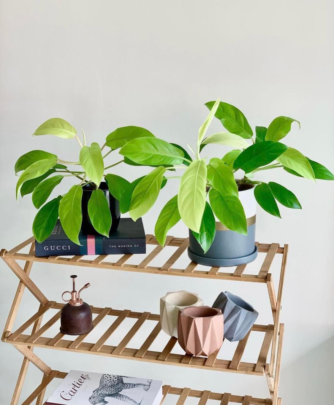 Tier Folding Simple Bamboo Plant Rack1