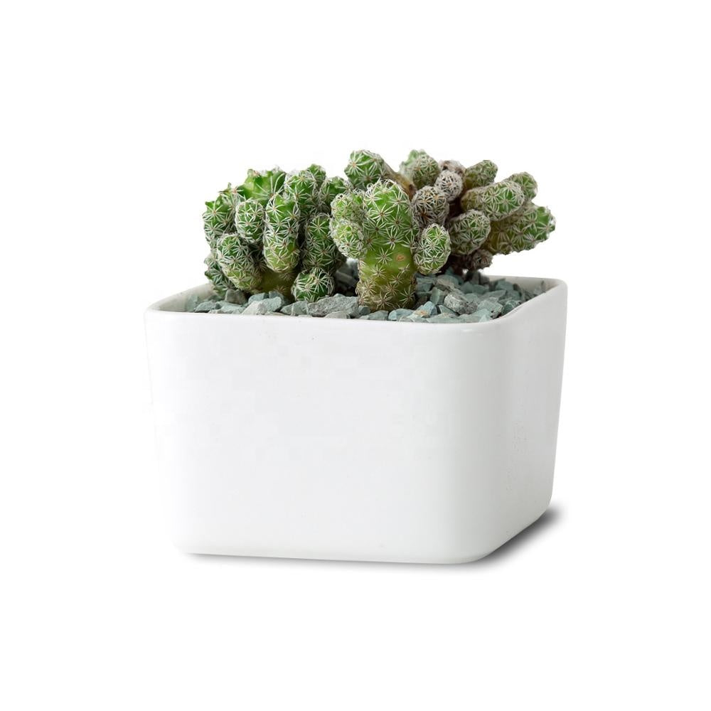 succulent pots for sale philippines PP17/80 Square Succulent Desk Pot – Pots For Plants
