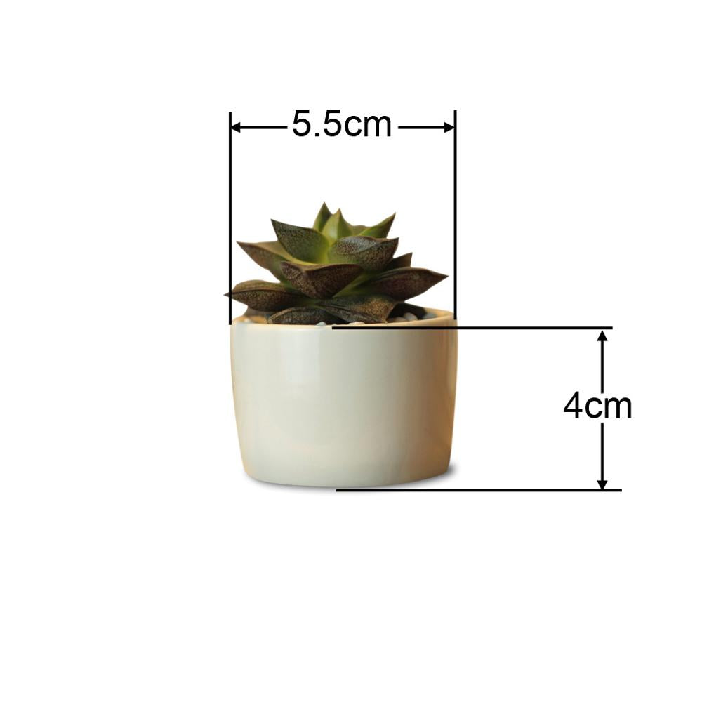 PP13 Token Size Cylinder Succulent Pot - Pots For Plants