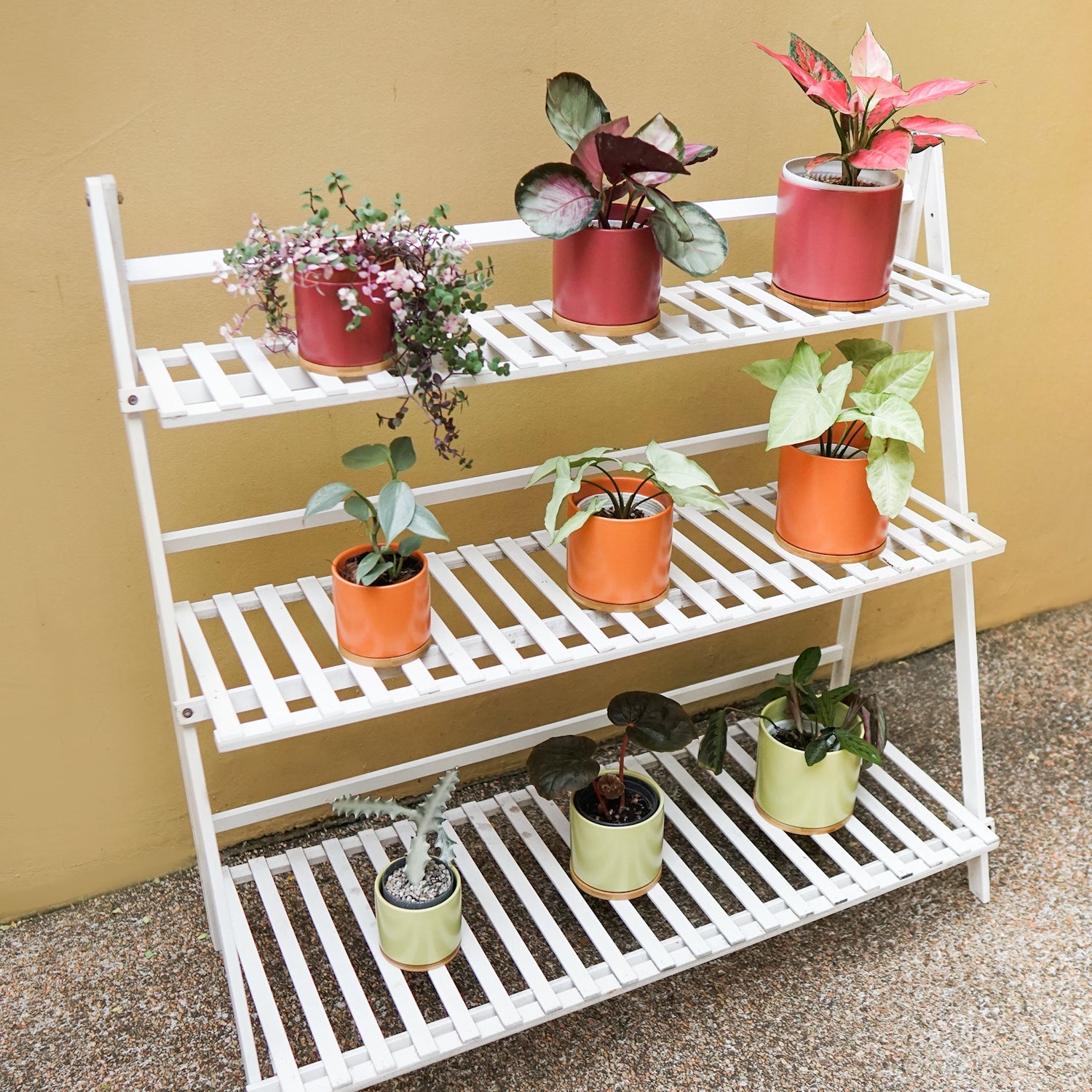 Bamboo Plant Rack - Pots For Plants