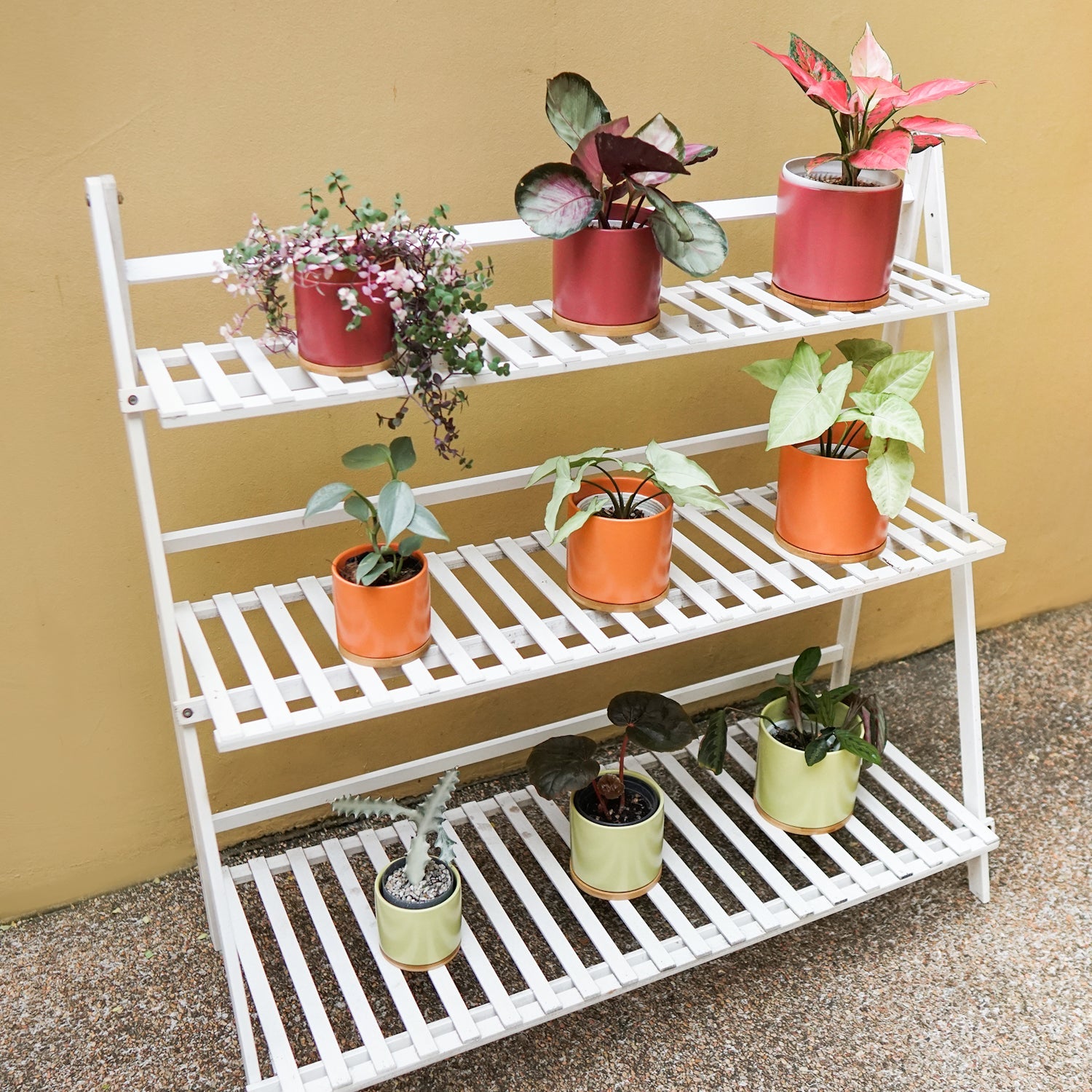 Bamboo Plant Rack – Pots For Plants