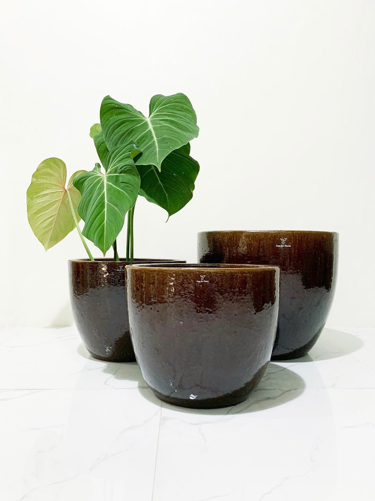 Brown Round Vietnam Glazed Earthenware Ceramic Pot - Pots For Plants